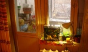  ул. Космонавтов 3/5эт., однокомнатная,  состояние удовлетворительное